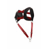 MOB Eroticwear Harnais et Cockring Dngeon Noir-Rouge
